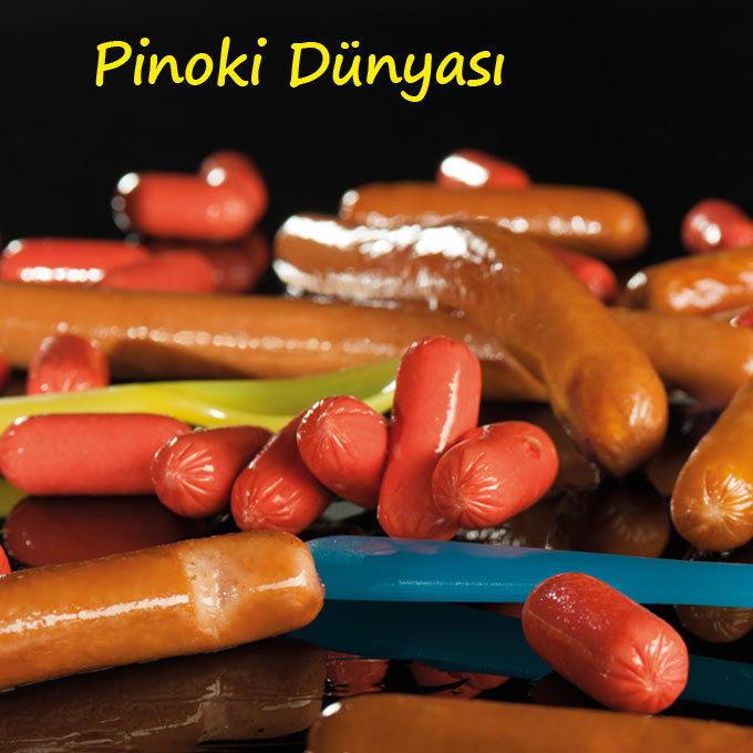Bildmotiv Pinoki Dünyası